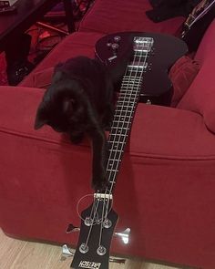 a black cat laying on top of a guitar