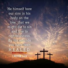 two crosses with the words he himself bore our sons in his body on the tree, that we might live to righteousness