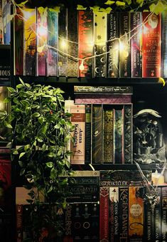 a bookshelf filled with lots of books next to a potted plant