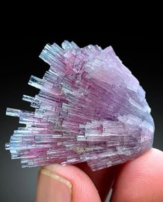 Cotton Candy Tourmaline crystals cluster. Crystals have nice pink and purplish colors. Weight : 156 gram Size : 196*58*13 mm Locality: Laghman Afghanisten #tourmaline #tourmalinecrystals #tourmalinespecimen #tourmalines #tourmalinelovers #tourmalinekings #tourmalinegems #tourmalinekingsworldwide #crystals #crystallove #crystalcollection #minerals #mineralcollecting #mineralspecimen #crystalcluster #geology #geologypage #geologylove #rockhounding Cluster Crystals, Crystals Cluster, Mineral Collection, Tourmaline Crystal, Crystal Collection, Crystal Cluster