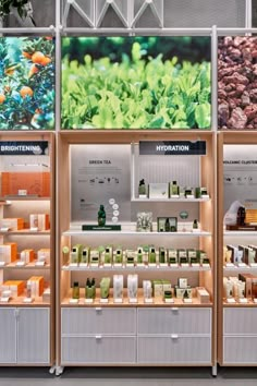 an assortment of products displayed on shelves in a store with plants and flowers behind them