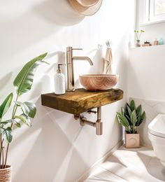 a bathroom with a sink, toilet and potted plants