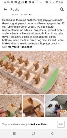 a dog is eating out of an ice tray with food in it and the caption reads,