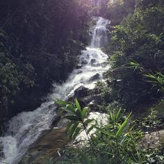 a small waterfall in the middle of some trees and rocks with sunlight shining on it