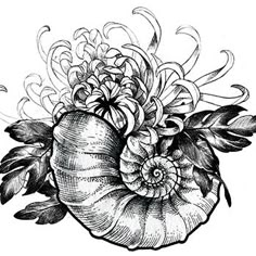 a black and white drawing of a nauti shell with flowers on it's side