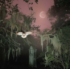 an owl is flying in the night sky over a cemetery with trees and moon behind it