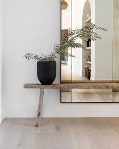 a plant is sitting on a wooden bench in front of a large mirror and shelf