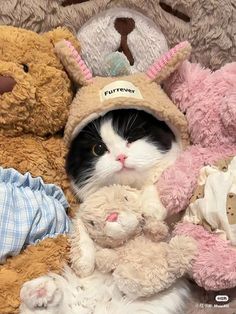 a black and white cat wearing a bunny hat surrounded by stuffed animals