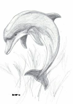 a drawing of a dolphin jumping out of the water