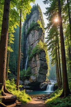 the sun shines through the trees near a waterfall in a forest with tall rocks