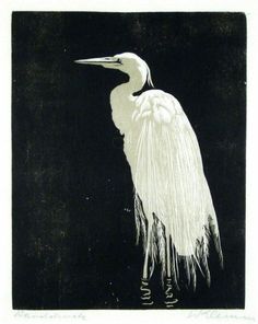 an image of a white bird standing in the dark