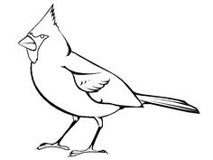 a black and white drawing of a bird