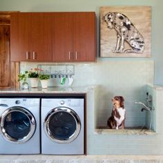 a dog is sitting in front of a washer and dryer