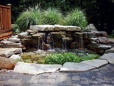 a small pond surrounded by rocks and plants