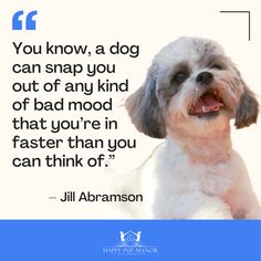 dog quotes Mood Boosters, Bad Mood, Good Vibes Only, Brighten Your Day, Puppy Love