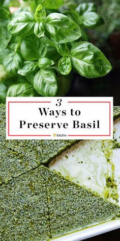 three ways to preserve basil in the garden