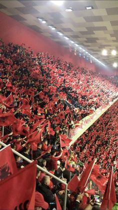 a large group of people in a stadium with red flags