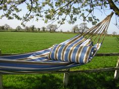 a blue and white striped hammock hanging from a tree in a grassy field