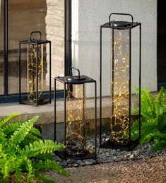 three black lanterns sitting next to each other on the side of a building with plants growing out of them