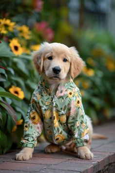 a dog sitting on the ground in front of some flowers wearing a flowery jacket