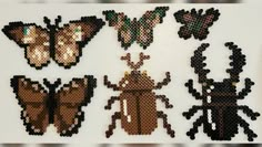 a group of beaded insect designs on a white surface