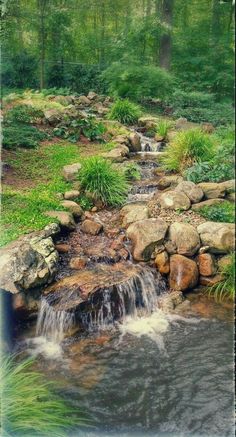 a stream running through a lush green forest filled with lots of rocks and grass on top of it