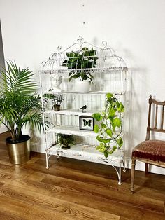 a white birdcage filled with plants next to a chair and potted plant