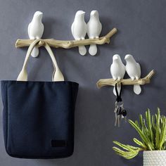 three white birds are perched on the branch of a tree, and one is holding a black bag