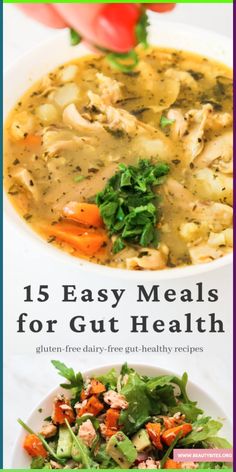 the cover of 15 easy meals for gut health