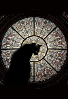 a black cat sitting in front of a stained glass window