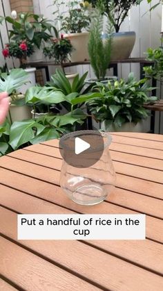 a glass vase sitting on top of a wooden table next to potted planters