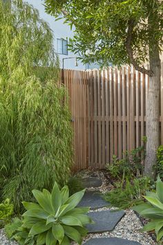 a small garden with stepping stones and plants in the foreground, next to a wooden fence