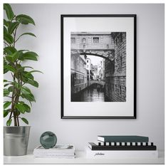 a black and white photo hanging on the wall next to a potted plant with books