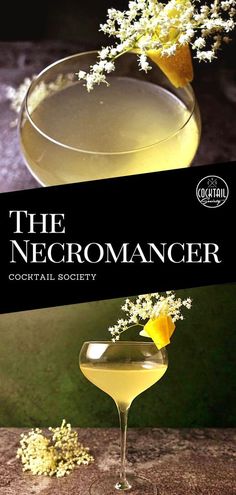 the necromancer cocktail book cover with a martini glass and flowers in it