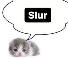 a small kitten sitting in front of a speech bubble with the word slur above it