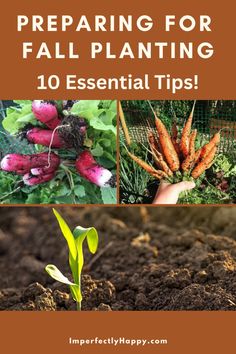 four pictures with the title preparing for fall planting 10 essential tips