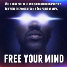 a movie poster with the words free your mind