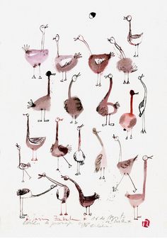 an image of birds that are drawn in watercolor