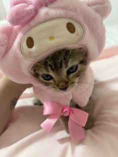 a small kitten wearing a pink hello kitty outfit on top of a bed with a pink bow