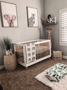 a baby's room with zebras and giraffe pictures on the wall