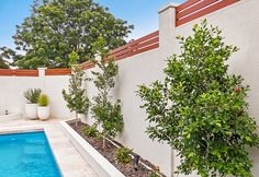 a small pool in the middle of a backyard with trees and plants on either side