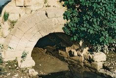 an old stone tunnel with trees growing out of it and water running under the entrance