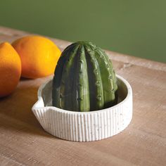 a cactus sitting in a white bowl next to oranges on a wooden counter top