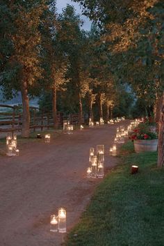 many lit candles are lined up on the side of a dirt road in front of trees