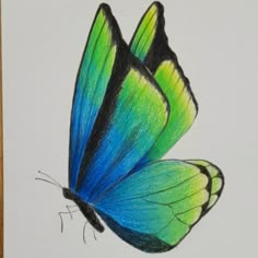 a blue and green butterfly sitting on top of a piece of paper next to a marker