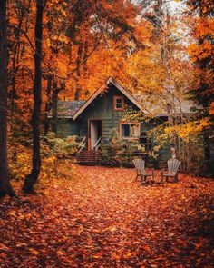 a cabin in the woods surrounded by trees with leaves on the ground and two chairs