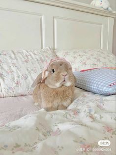 a brown rabbit sitting on top of a bed next to pillows and pillowcases