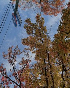 a street sign hanging off the side of a metal pole next to trees with leaves on it