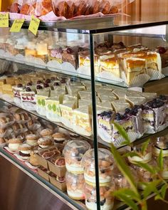 a display case filled with lots of different types of desserts