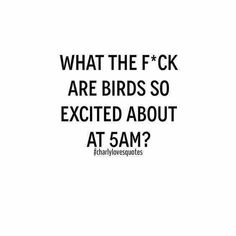 an advertisement with the words what the f k are birds so excited about at 5am?